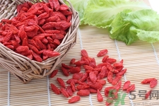 枸杞子泡酒怎么泡？枸杞酒的制作方法是什么？