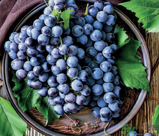 巨峰葡萄怎么挑？巨峰葡萄怎么洗？