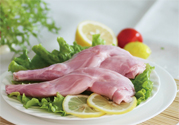 兔肉不能和什么一起吃？什么人不能吃兔肉？