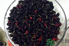 桑葚的功效與作用 桑葚的營(yíng)養(yǎng)價(jià)值 桑葚的功效與作用 桑葚的營(yíng)養(yǎng)價(jià)值