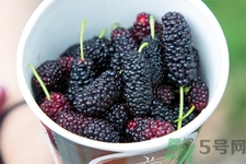 桑葚的功效與作用 桑葚的營(yíng)養(yǎng)價(jià)值 桑葚的功效與作用 桑葚的營(yíng)養(yǎng)價(jià)值