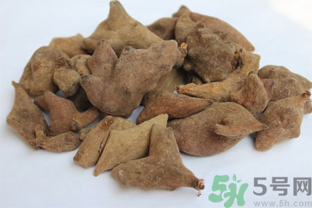 五倍子能治早泄嗎？五倍子的副作用有哪些？