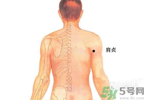 肩周炎艾灸有用嗎？肩周炎艾灸哪些部位？