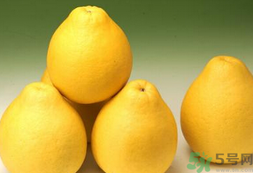 柚子什么時(shí)候上市？柚子什么時(shí)候成熟？