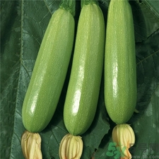 西葫蘆的營養(yǎng)價值 西葫蘆的功效與作用 西葫蘆的營養(yǎng)價值 西葫蘆的功效與作用