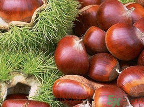 生板栗怎么保存？?板栗如何保存能放更久