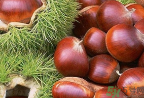 生板栗怎么去殼？生板栗去殼妙招