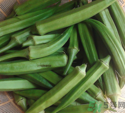 黃秋葵可以生吃嗎？黃秋葵的吃法