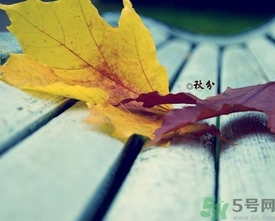 秋分出生的人怎么起名？秋分出生的人的命運？