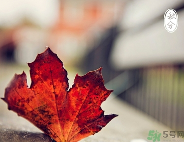 秋分還熱嗎？秋分注意事項