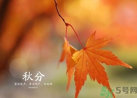 秋分吃什么？秋分吃什么水果？