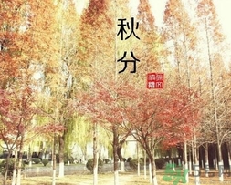 秋分吃什么？秋分吃什么水果？