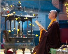 秋分喝什么茶？秋分養(yǎng)生茶飲推薦