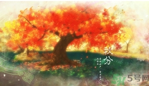 秋分喝什么茶？秋分養(yǎng)生茶飲推薦