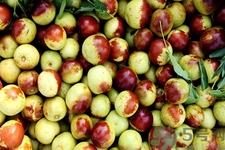 空腹不能吃的水果有哪些？空腹可以吃哪些水果？