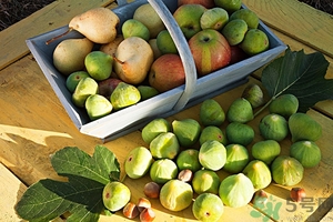 蘋果和梨子可以一起榨汁嗎？蘋果和梨子可以一起吃嗎？