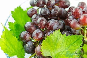 蘋果和提子可以同吃嗎？蘋果和提子可以榨汁嗎？