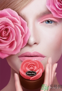 哈根達斯玫瑰傳奇月餅好吃嗎？哈根達斯玫瑰傳奇月餅多少錢？