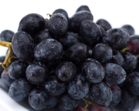 黑加侖皮能吃嗎？黑加侖皮的功效