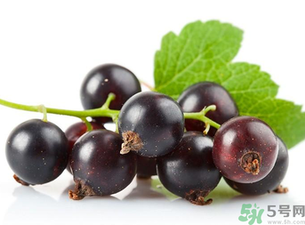 孕婦能吃黑加侖嗎？孕婦吃黑加侖好嗎？