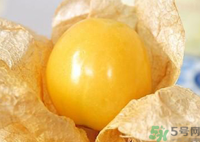 姑娘果孕婦可以吃嗎？孕婦吃了姑娘果怎么辦？