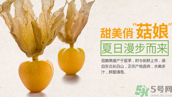 姑娘果孕婦可以吃嗎？孕婦吃了姑娘果怎么辦？