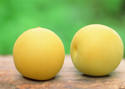 黃元帥蘋果的營(yíng)養(yǎng)價(jià)值 黃元帥蘋果的功效與作用 黃元帥蘋果的營(yíng)養(yǎng)價(jià)值 黃元帥蘋果的功效與作用