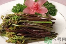 蕨菜可以生吃嗎?蕨菜生吃會怎么樣? 蕨菜可以生吃嗎?蕨菜生吃會怎么樣?