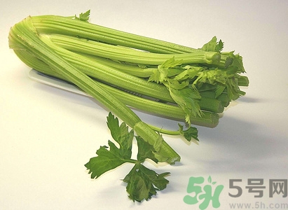 芹菜汁什么時候喝最好?芹菜汁什么時間喝最好 芹菜汁什么時候喝最好?芹菜汁什么時間喝最好