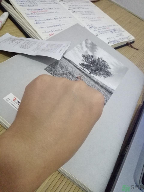 圣珂蘭泡美人面膜多少錢?圣珂蘭泡美人面膜價格 圣珂蘭泡美人面膜多少錢?圣珂蘭泡美人面膜價格