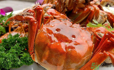 九月份吃公蟹還是母蟹？公蟹和母蟹哪個更好吃？