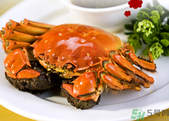 九月份吃公蟹還是母蟹？公蟹和母蟹哪個更好吃？