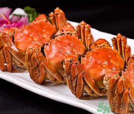 九月份吃什么螃蟹？哪些螃蟹不能吃？