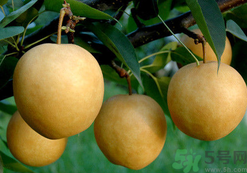 喉嚨痛可以吃月餅嗎？喉嚨痛吃什么好？