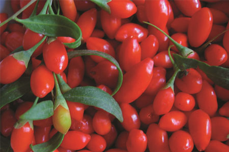 枸杞泡酒的配方是什么？枸杞泡酒需注意什么？