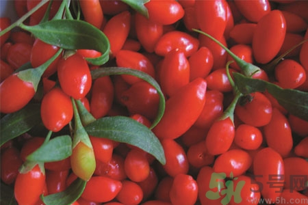 枸杞可以減肥嗎？枸杞減肥的方法是什么？