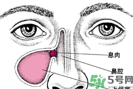 鼻子不通氣是怎么回事？鼻子不通氣怎么辦？