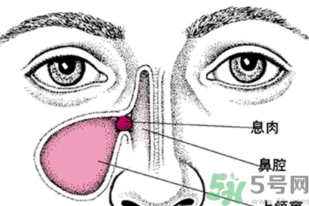 鼻子出血怎么辦？鼻子出血的原因是什么？