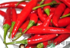 吃辣椒打嗝怎么回事?吃辣椒打嗝是什么原因? 吃辣椒打嗝怎么回事?吃辣椒打嗝是什么原因?
