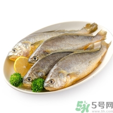 小黃魚的營養(yǎng)價值 小黃魚的功效與作用 小黃魚的營養(yǎng)價值 小黃魚的功效與作用