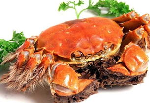 螃蟹什么季節(jié)最好吃？螃蟹幾月份吃最好？
