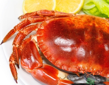 螃蟹可以帶上火車嗎？螃蟹可以帶上動車嗎？