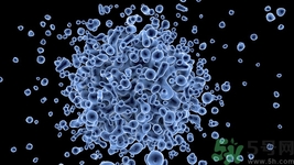 小孩感染寨卡病毒怎么辦?小孩感染寨卡病毒能治好嗎 小孩感染寨卡病毒怎么辦?小孩感染寨卡病毒能治好嗎