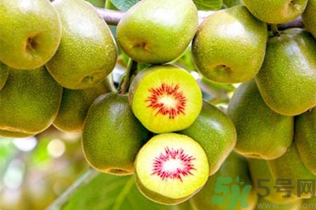 獼猴桃怎么去皮？如何挑選獼猴桃？