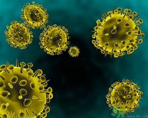 寨卡病毒會自己好嗎？寨卡病毒能自愈嗎？