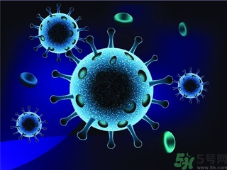 寨卡病毒會自己好嗎？寨卡病毒能自愈嗎？