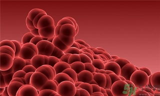 寨卡病毒會自己好嗎？寨卡病毒能自愈嗎？