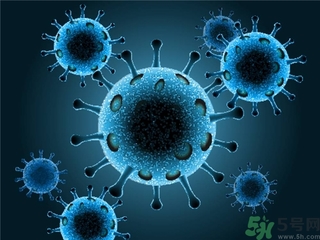 寨卡病毒會自己好嗎？寨卡病毒能自愈嗎？