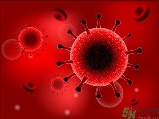 寨卡病毒會自己好嗎？寨卡病毒能自愈嗎？