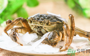 螃蟹什么時(shí)候上市？螃蟹上市時(shí)間